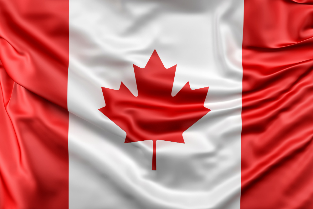 Bandera suiza